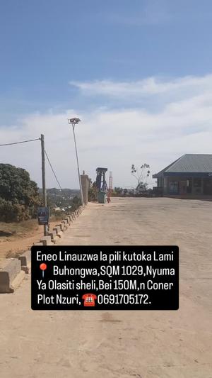 Plot for sale in Buhongwa, Mwanza sqm 1029 Plot for sale in Buhongwa, Mwanza sqm 1029