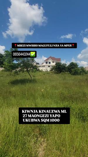 Residential Plot for Sale in Mbezi Mwisho, Dar Es Salaam (1000 sqm)