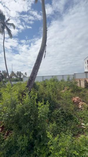 Residential Plot for Sale in Mwera Pongwe, Tanga Residential Plot for Sale in Mwera Pongwe, Tanga