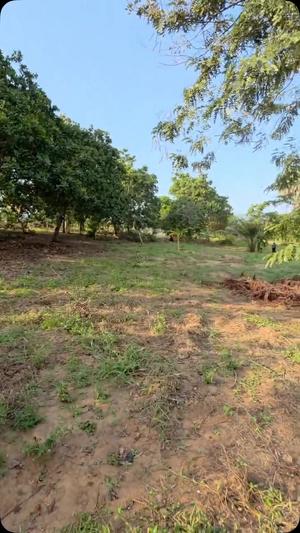 Kiwanja kinauzwa Madale Mbopo, Dar Es Salaam sqm 1200 Kiwanja kinauzwa Madale Mbopo, Dar Es Salaam sqm 1200