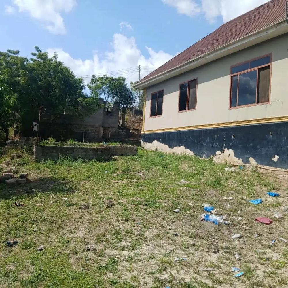 media -4