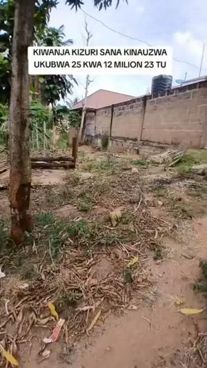 Kiwanja kinauzwa Ubungo Makoka Kwa Mkua, Dar Es Salaam (300 sqm)
