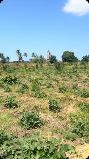 Residential Plot for Sale in Kigamboni Kimbiji, Dar Es Salaam (2.5 acre) Residential Plot for Sale in Kigamboni Kimbiji, Dar Es Salaam (2.5 acre)