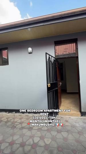 Nyumba/Apartment ya chumba kimoja inapangishwa Makumbusho, Dar Es Salaam