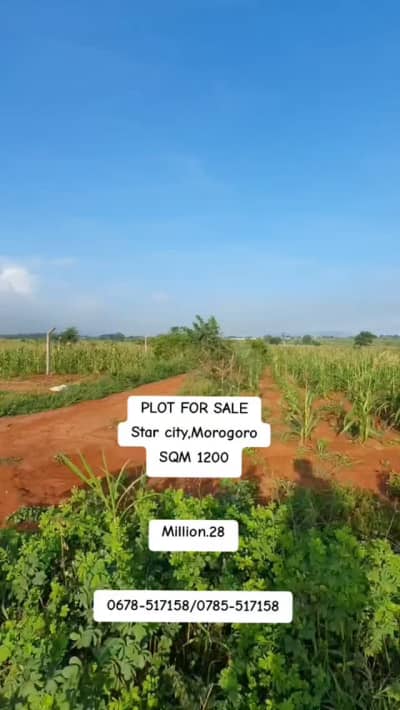 Plot for sale in Morogoro