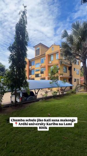 1 Bedroom Apartment for Rent in Makongo Mwanzoni, Dar Es Salaam