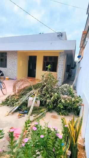 Nyumba ya vyumba vitatu inapangishwa Msasani, Dar Es Salaam Nyumba ya vyumba vitatu inapangishwa Msasani, Dar Es Salaam