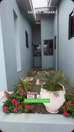 Nyumba ya vyumba viwili inapangishwa Tegeta Wazo, Dar Es Salaam Nyumba ya vyumba viwili inapangishwa Tegeta Wazo, Dar Es Salaam