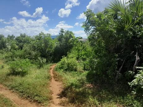 Kiwanja kinauzwa Dege Mbutu, Tabora acre 4
