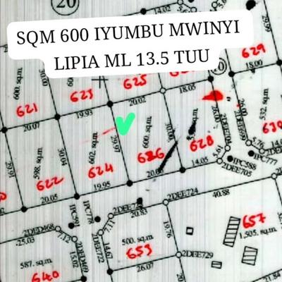 Kiwanja kinauzwa Iyumbu Mwinyi, Dodoma (600 sqm) Kiwanja kinauzwa Iyumbu Mwinyi, Dodoma (600 sqm)