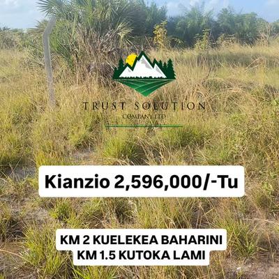Viwanja vinauzwa Mbutu, Tabora Viwanja vinauzwa Mbutu, Tabora