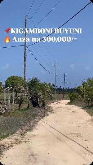 Residential Plots for Sale in Buyuni, Dar Es Salaam