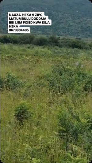Farm for Sale in Matumbulu, Dodoma (9 acre) Farm for Sale in Matumbulu, Dodoma (9 acre)