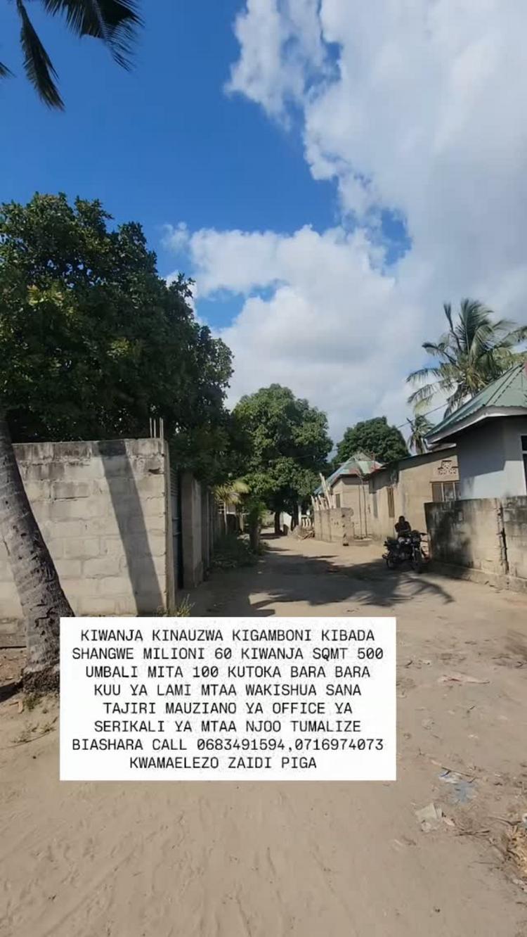 video thumbnail video thumbnail