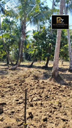 Residential Plot for Sale in Mwera Pongwe, Tanga (4900 sqm) Residential Plot for Sale in Mwera Pongwe, Tanga (4900 sqm)