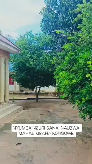 Nyumba ya vyumba vitatu inauzwa Kibaha Kongowe, Pwani (500 sqm) Nyumba ya vyumba vitatu inauzwa Kibaha Kongowe, Pwani (500 sqm)