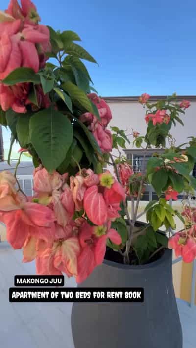 Apartment ya vyumba viwili inapangishwa Makongo Juu, Dar Es Salaam