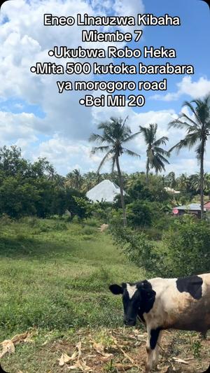 Residential Plot for Sale in Kibaha Miembe 7, Pwani (0.25 acre)