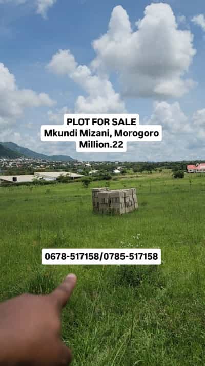 Plot for sale in Mkundi, Morogoro