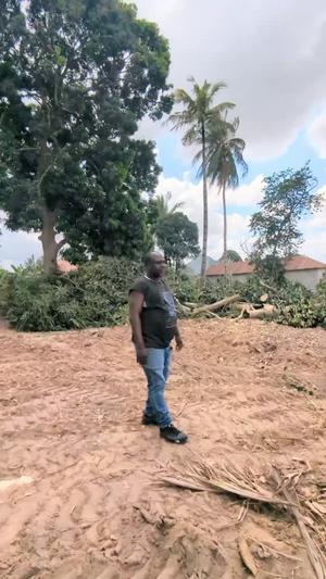 Viwanja vinauzwa Pugu Majohe Halisi, Dar Es Salaam (156 sqm)