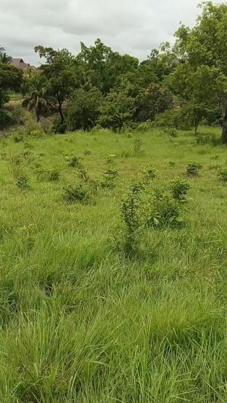 video thumbnail video thumbnail