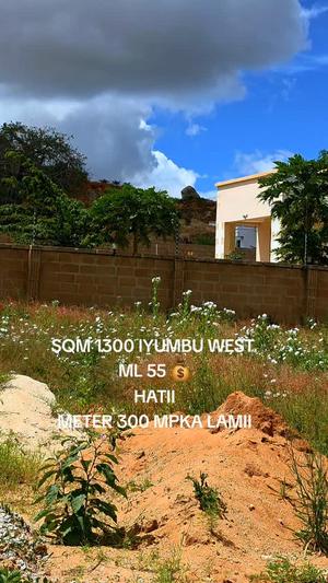 Kiwanja kinauzwa Iyumbu West, Dodoma sqm 1300 Kiwanja kinauzwa Iyumbu West, Dodoma sqm 1300