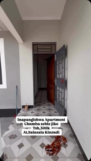 Apartment ya chumba kimoja inapangishwa Goba Kinzudi, Dar Es Salaam Apartment ya chumba kimoja inapangishwa Goba Kinzudi, Dar Es Salaam
