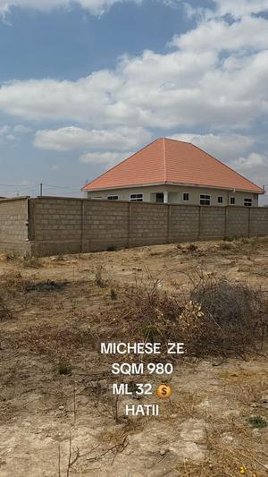 Kiwanja kinauzwa Dodoma Mjini Micheze ZE Ushuani (980 sqm) Kiwanja kinauzwa Dodoma Mjini Micheze ZE Ushuani (980 sqm)