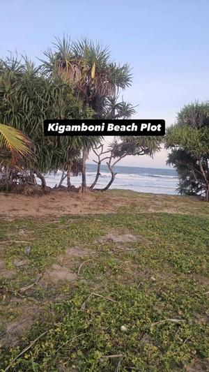 Beach Plot for Sale in Buyuni, Dar Es Salaam (8 acre) Beach Plot for Sale in Buyuni, Dar Es Salaam (8 acre)
