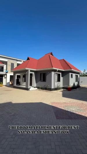 Apartment ya vyumba viwili inapangishwa Salasala Ushwani, Dar Es Salaam Apartment ya vyumba viwili inapangishwa Salasala Ushwani, Dar Es Salaam