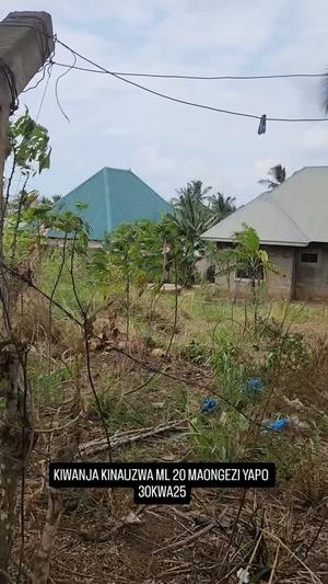 Residential Plot for Rent in Goba Tegeta, Dar Es Salaam Residential Plot for Rent in Goba Tegeta, Dar Es Salaam