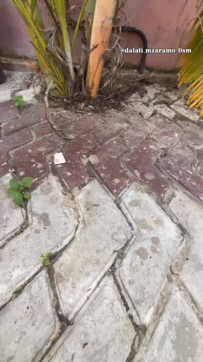 Nyumba ya vyumba viwili inapangishwa Kigamboni, Dar Es Salaam Nyumba ya vyumba viwili inapangishwa Kigamboni, Dar Es Salaam