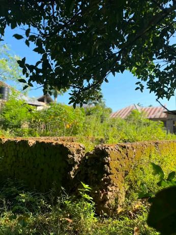 Residential Plot for Sale in Mwera Mtendeni, Tanga Residential Plot for Sale in Mwera Mtendeni, Tanga