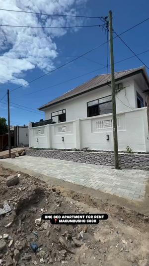 Nyumba ya chumba kimoja inapangishwa Makumbusho, Dar Es Salaam