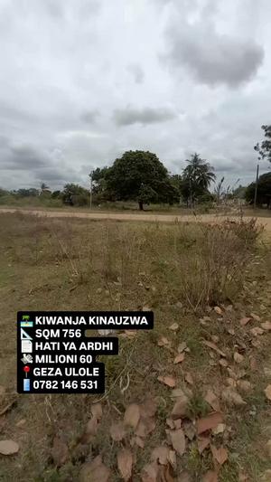 Kiwanja kinauzwa Kigamboni Geza Ulole, Dar Es Salaam (756 sqm) Kiwanja kinauzwa Kigamboni Geza Ulole, Dar Es Salaam (756 sqm)