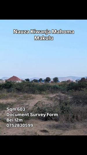 Plot for sale in Dodoma sqm 603