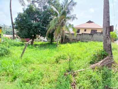 House for Sale in Kimara Baruti, Dar Es Salaam (1666 sqm)