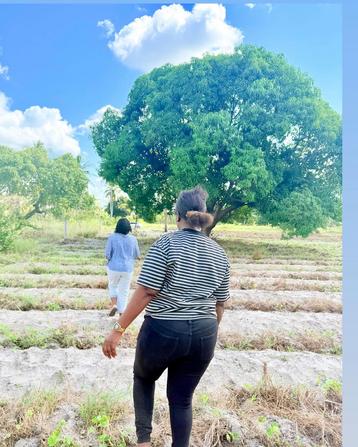 Residential Plots for Sale in Kiromo, Pwani Residential Plots for Sale in Kiromo, Pwani