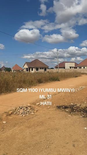 Kiwanja kinauzwa Iyumbu, Dodoma sqm 1100 Kiwanja kinauzwa Iyumbu, Dodoma sqm 1100