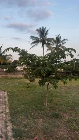 Nyumba ya vyumba viwili inapangishwa Mbezi Beach, Dar Es Salaam