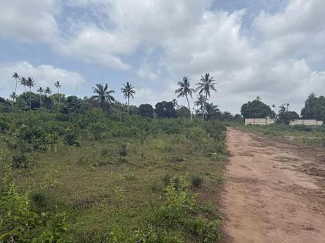 Residential Plots for Sale in Kianga Flower, Zanzibar - Unguja West Residential Plots for Sale in Kianga Flower, Zanzibar - Unguja West