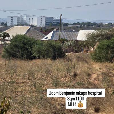Plot for sale in Udom Benjamin Mkapa, Dodoma sqm 1100