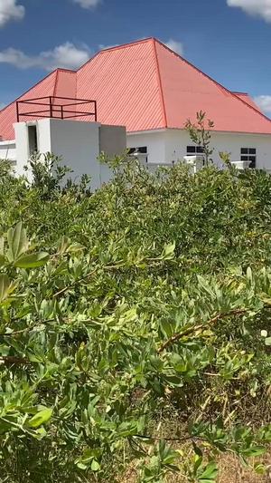 Kiwanja (Residential/Commercial) kinauzwa Miganga, Dodoma (531 sqm)