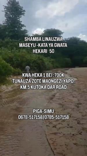 Farm for Sale in Maseyu, Gwata, Morogoro (50 acre)
