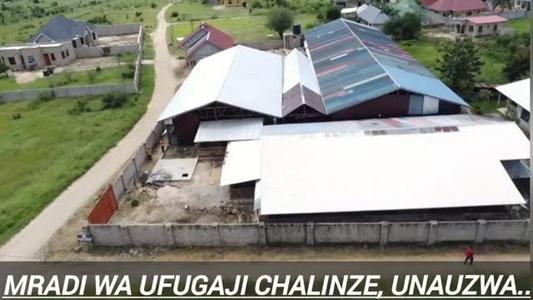 Shamba linauzwa Chalinze, Pwani (1 acre) Shamba linauzwa Chalinze, Pwani (1 acre)