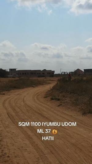 Plot for sale in Iyumbu Udom, Dodoma sqm 1100 Plot for sale in Iyumbu Udom, Dodoma sqm 1100