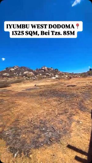 Residential/Commercial Plot for Sale in Iyumbu West, Dodoma (1325 sqm)