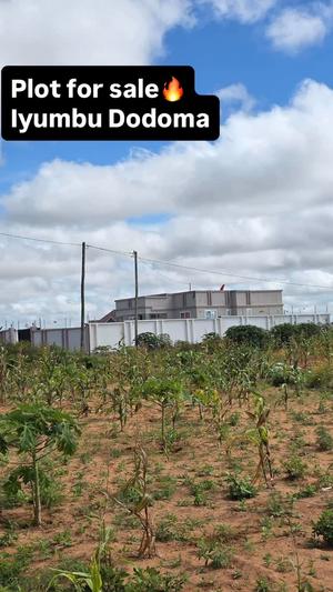 Plot for sale in Iyumbu, Dodoma sqm 480