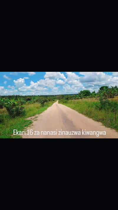 Shamba linauzwa Kiwangwa, Pwani (16 acre)