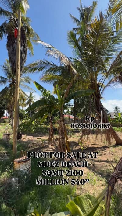 Kiwanja kinauzwa Mbezi, Dar Es Salaam